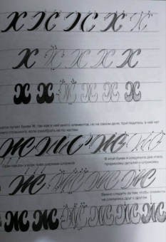 Анна Лиепина: Курс по леттерингу и каллиграфии