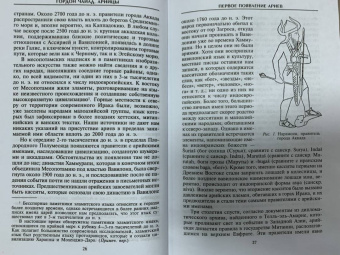 Гордон Чайлд: Арийцы. Основатели европейской цивилизации