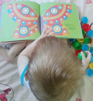 Элис Мелвин: Мои сокровища. Книга-шкатулка