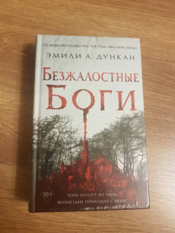 Эмили Дункан: Безжалостные боги (#2)