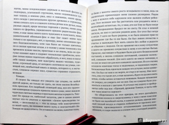 Вальзер, Шишкин: Прогулка