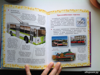 Мерников, Шереметьева, Спектор: Как все устроено и как это работает