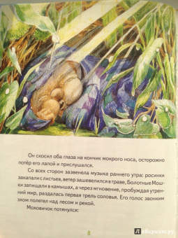 Игорь Шляпка: Весенний завтрак у Моховой Бабушки