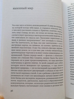 Ян Немец: Возможности любовного романа