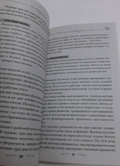 Александр Очеретний: Разумное пчеловодство для начинающих. Полный пошаговый справочник