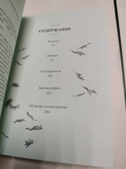Андреас Хазе: Деревья. Как жизни человека и дерева переплетены друг с другом