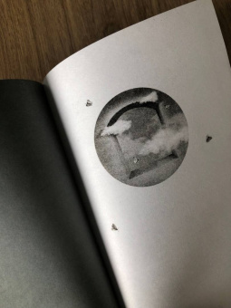 Леони Росс: Один день ясного неба