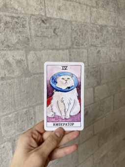 Котт Линн: Cat Tarot. Таро Котиков, 78 карт и руководство в подарочном футляре