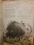 Уоллс МакМиллан: Великая книга Единорогов