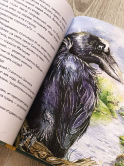 Игорь Шляпка: Весенний завтрак у Моховой Бабушки