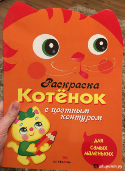 Раскраска с цветным контуром. Котенок
