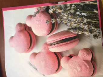 Алёна Аракчеева: Школа юного кондитера. Муссовые торты, капкейки, трайфлы, эклеры. Рецепты и технологии