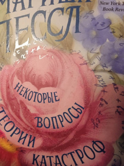 Мариша Пессл: Некоторые вопросы теории катастроф