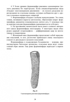 Блохин, Блохина: Практикум по зоологии. Учебное пособие для вузов