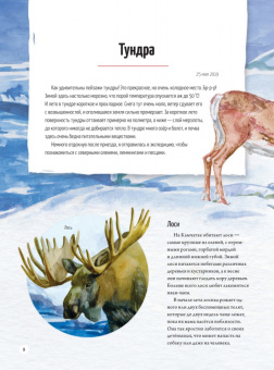 Евгения Валягина-Малютина: Природа России. От Арктики до пустыни. Моё первое путешествие
