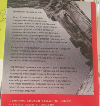 Джонатан Садовски: Империя депрессии. Глобальная история разрушительной болезни