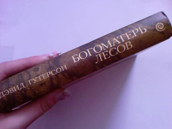 Дэвид Гутерсон: Богоматерь лесов