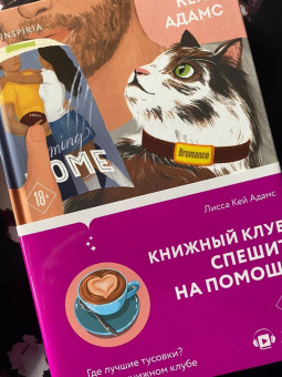 Адамс Кей: Bromance. Книжный клуб спешит на помощь