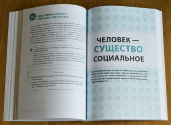 Сьюзан Уэйншенк: 100 главных принципов дизайна