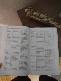 Луиза Хей: Книга женского счастья. Все о чем мечтаю. Новогоднее оформление