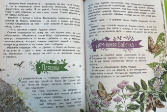 Николай Сладков: Лесные сказки