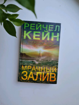 Рейчел Кейн: Мрачный залив