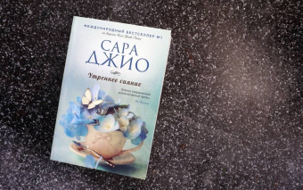 Сара Джио: Утреннее сияние