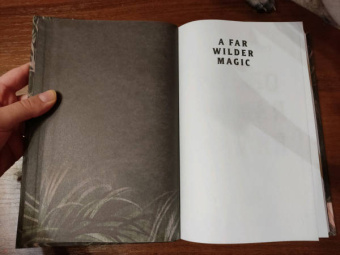 Эллисон Сафт: Особо дикая магия