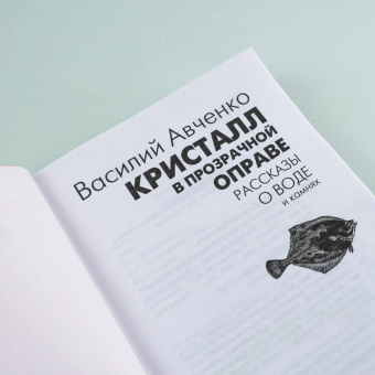 Василий Авченко: Кристалл в прозрачной оправе