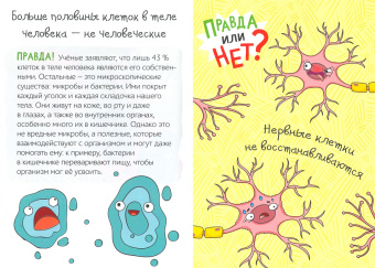 Ю. Соколова: Правда или нет? Тело человека