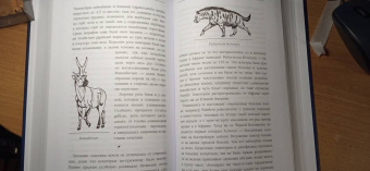Станислав Дробышевский: Палеонтология антрополога. Том 3. Кайнозой