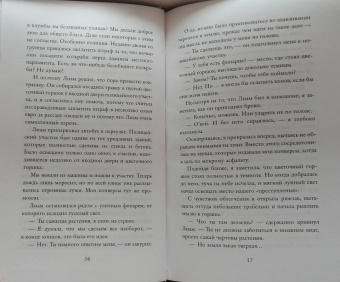 Катарина Херцог: Фэй. Сердце из лавы и света
