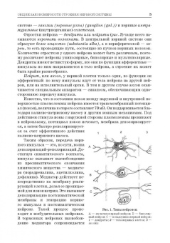 Зеленевский, Щипакин, Былинская: Анатомия животных. Неврология. Особенности строения домашней птицы. Практикум