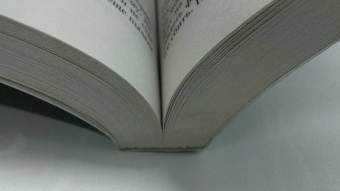 Джена Шоуолтер: Темный поцелуй