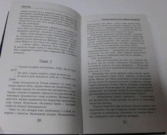 Тереза Тур: Роннская академия магии. Кафедра зельеварения