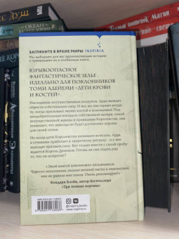 Рена Баррон: Королевство душ