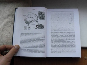 Ян Плампер: История эмоций