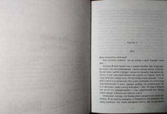Жвалевский, Пастернак: Как кошка с собакой