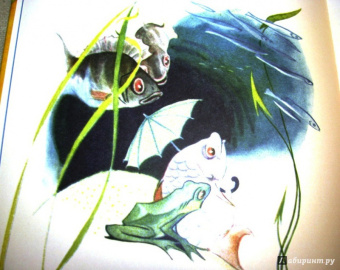 Юрий Коринец: Лесное состязание