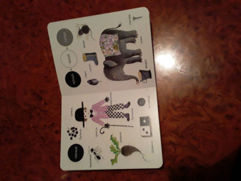 Елена Ивановская: Моя первая книжка о цвете