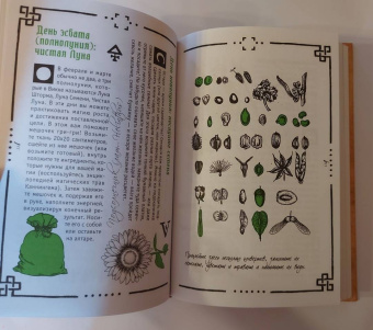 Арабо Саргсян: Викка. Книга теней