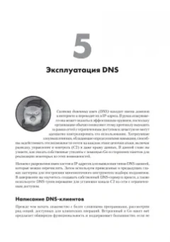 Коттманн, Паттен, Стил: Black Hat Go. Программирование для хакеров и пентестеров