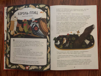 Клэр Кок-Старки: Волшебный мир природы. Сказки, мифы и легенды
