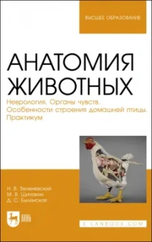Зеленевский, Щипакин, Былинская: Анатомия животных. Неврология. Особенности строения домашней птицы. Практикум