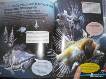 Кармен Родригес: Подводный мир. Иллюстрированная энциклопедия