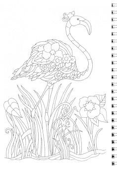 Раскраска антистресс. Животный мир