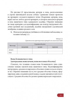 Елена Борхунова: Частная гистология. Интегрирующие системы. Методика изучения препаратов. Учебно-методическое пособие