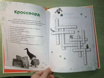 Сабина Штэдинг: Петронелла и Новый год. Весёлые истории, рецепты и задания. Адвент-календарь