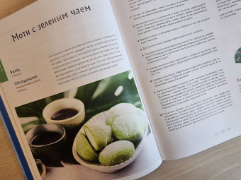 Моти. Легендарный воздушный десерт из Японии. Более 50 базовых рецептов, начинок и дизайнов