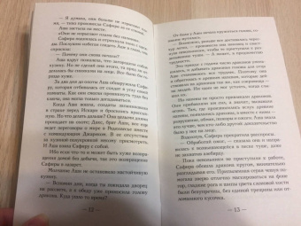 Кристен Сиккарелли: Последний Намсара. Боги света и тьмы